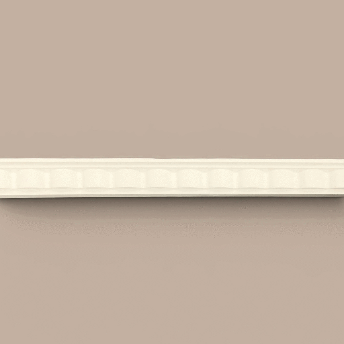 cn64 (1)